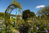 Monet's Garden