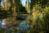Monets Water Garden
