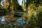 Monet's Water Garden
