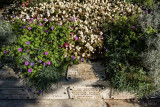 Monet's Final Resting Place