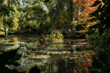 Another View of the Water Garden