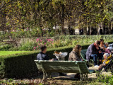 Afternoon in the Park