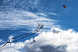 Kites in the Sky