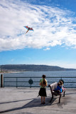 Children Enjoying the Kite Festival