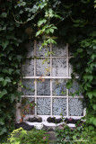 Window Decor