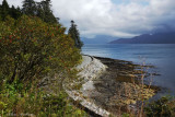 A Road Below Armadale Castle Grounds
