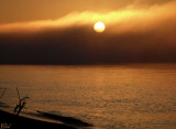 Lever de soleil dans le brouillard - Foggy sunrise