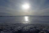 Brrrr, en cherchant un harfang ! - So cold, looking for a snowy !
