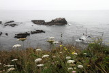 View near Yaquina Head Lighthouse