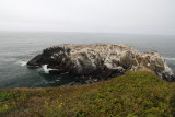  Yaquina Head Outstanding Natural Area