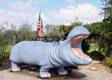 The Hutto mascot known as the Hutto Hippo of course 