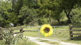 Old San Antonio Road, Fredericksburg , TX