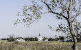 Tree cradles church