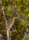 Lake City Wetlands Birders-8.jpg