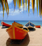 Boats Awaiting Service