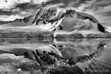 Antarctic Reflection