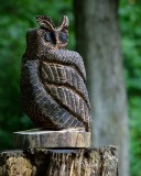 Chainsaw owl