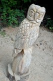 Owl #3 rough out