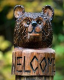 Welcome bear head