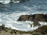 Waves at Bodega Bay