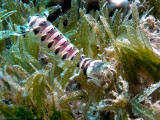 IMG_3952 copy.jpg