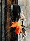 Bloomfield, CT 04