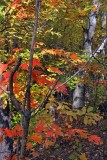 New Hampshire 01