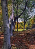 Vermont 01