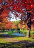 Windsor, CT 06