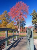 Windsor, CT 07