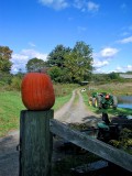 Windsor, CT 11