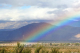 Rainbow in the Desert