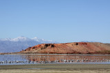 The Salton Sea - Mountains, Desert and Water all in One Place
