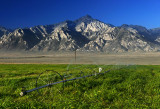 Agriculture in the High Desert