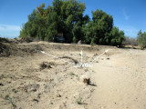 Levee