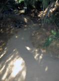 Off the Grid in California