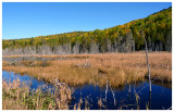 P1040267_2.jpg