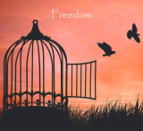 Freedom.jpg