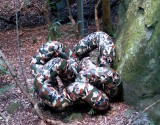 Sculpture in the Forest 2016