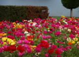 zA220120.JPG