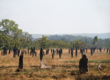 0128: Termite mounds