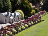 2477: A row of crooked houses