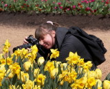 Serious about daffodils
