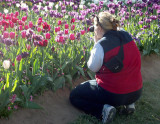 At Canberra Floriade