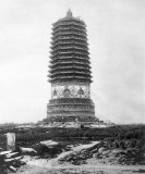 (009) Peking