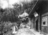 (107)  Miao  ti sze