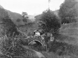 (154) Tsng chng shan