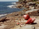 #9: Sea Shells