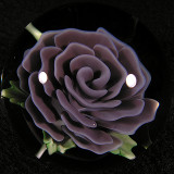 Sally's Rose Size: 1.56 Price: SOLD 