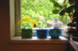 P0200.JPG